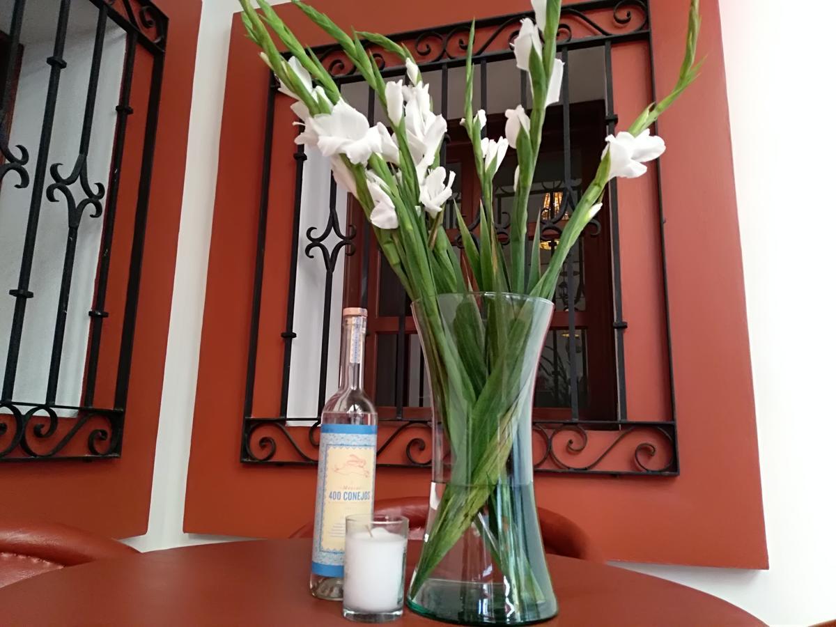 Bed and Breakfast Casa Agave Oaxaca Экстерьер фото