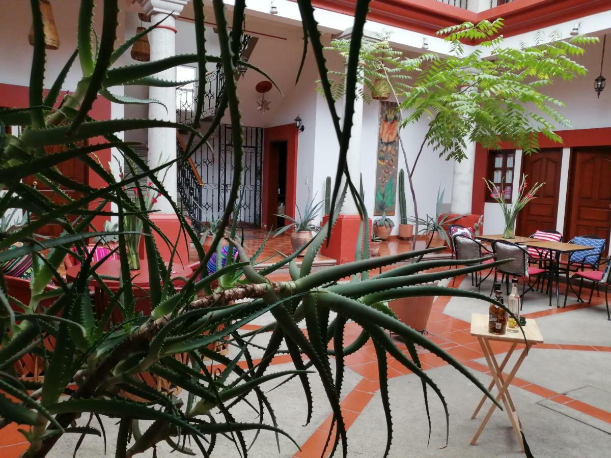 Bed and Breakfast Casa Agave Oaxaca Экстерьер фото
